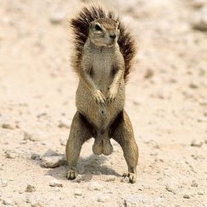 Meet your Posher, Brian